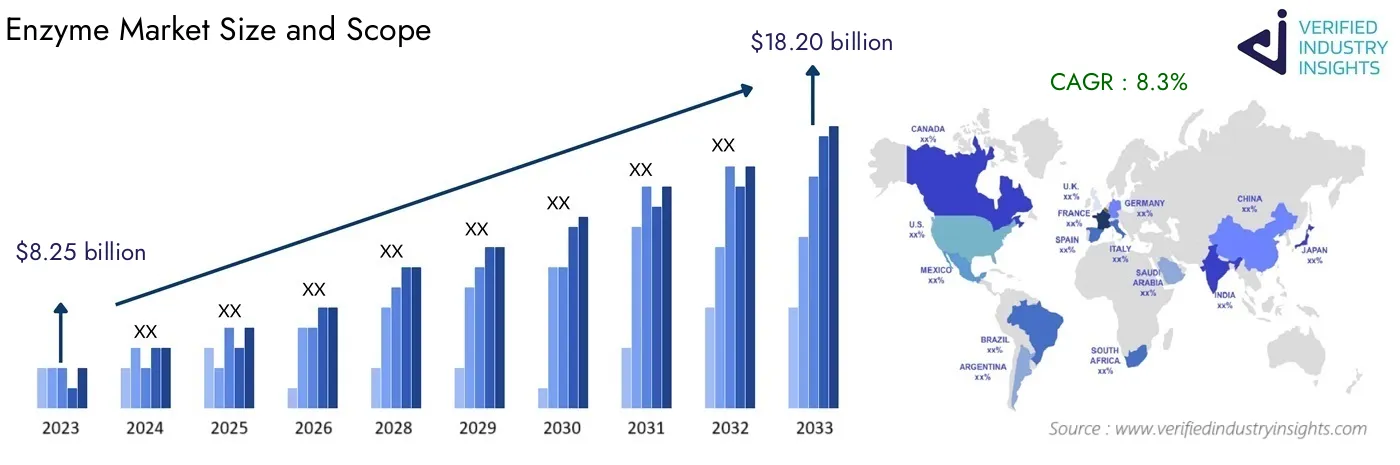 Global Enzyme Market Size, Growth Analysis and Forecast Insights