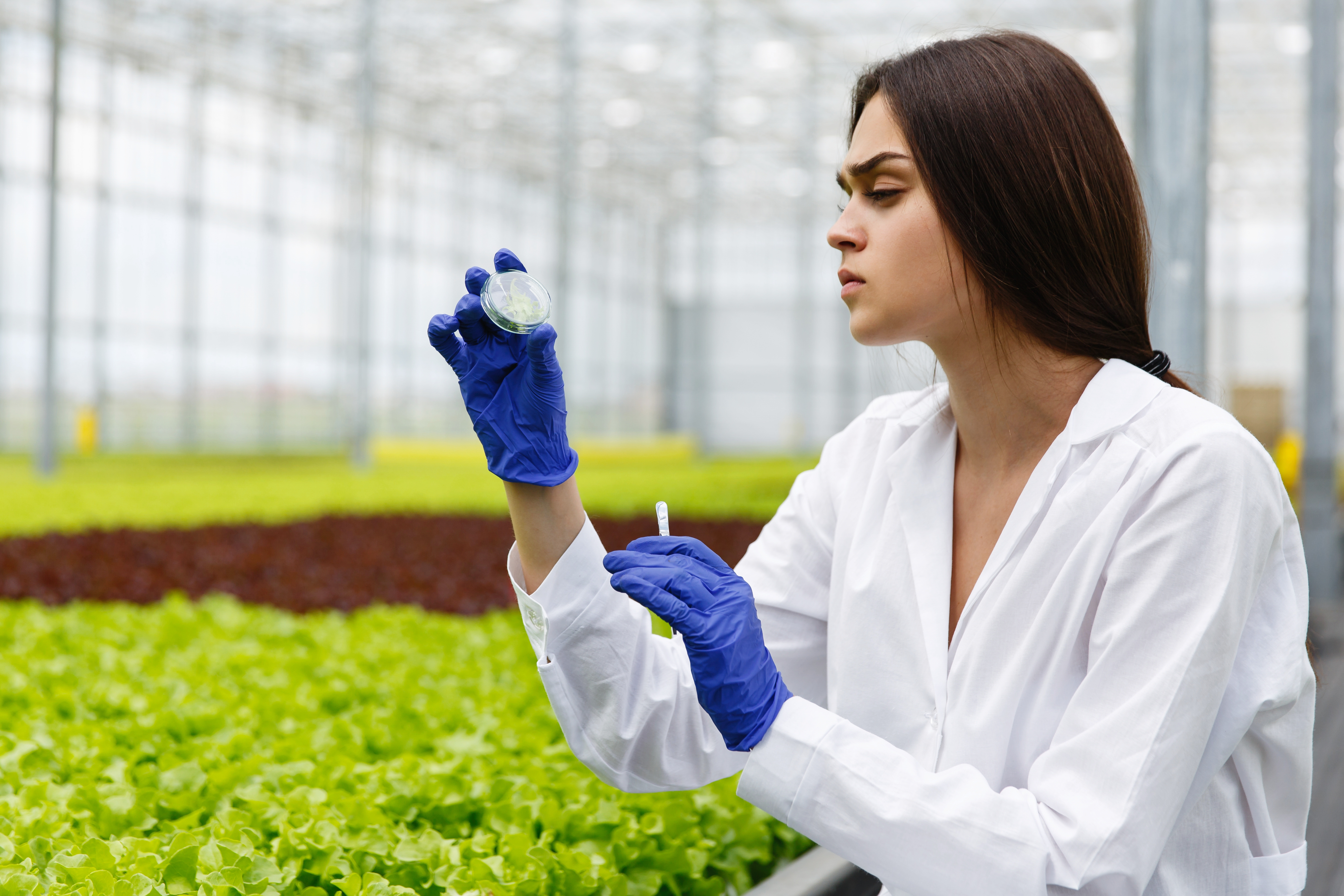 Exploring the Green Revolution: Sustainable Practices in the Chemical Industry