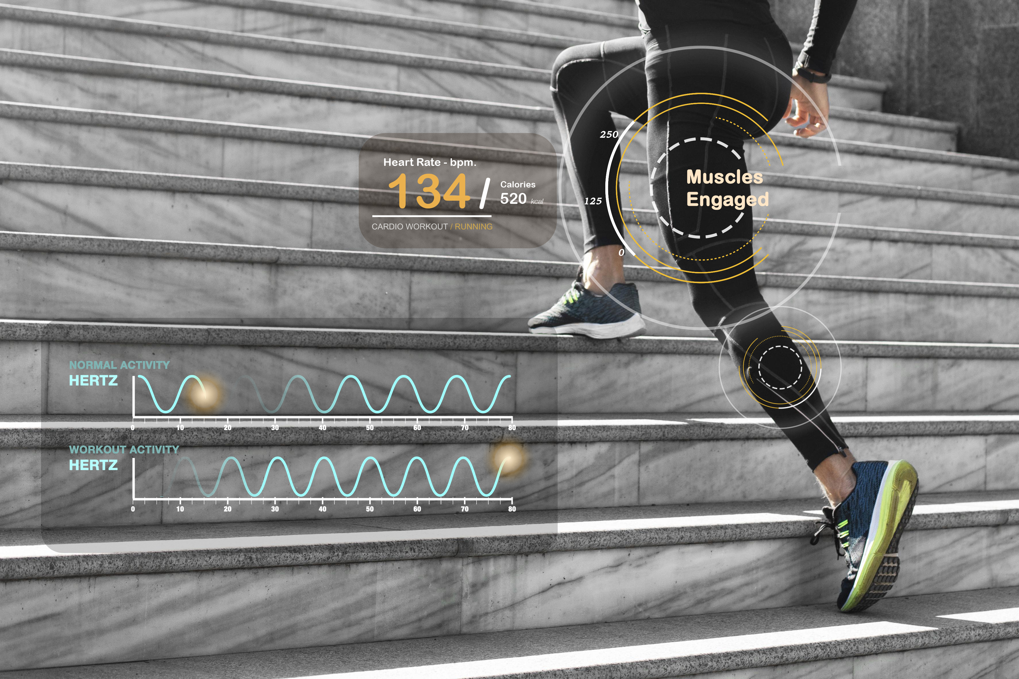 Exploring the Intersection of Sports and Technology: The Future of Athletic Performance