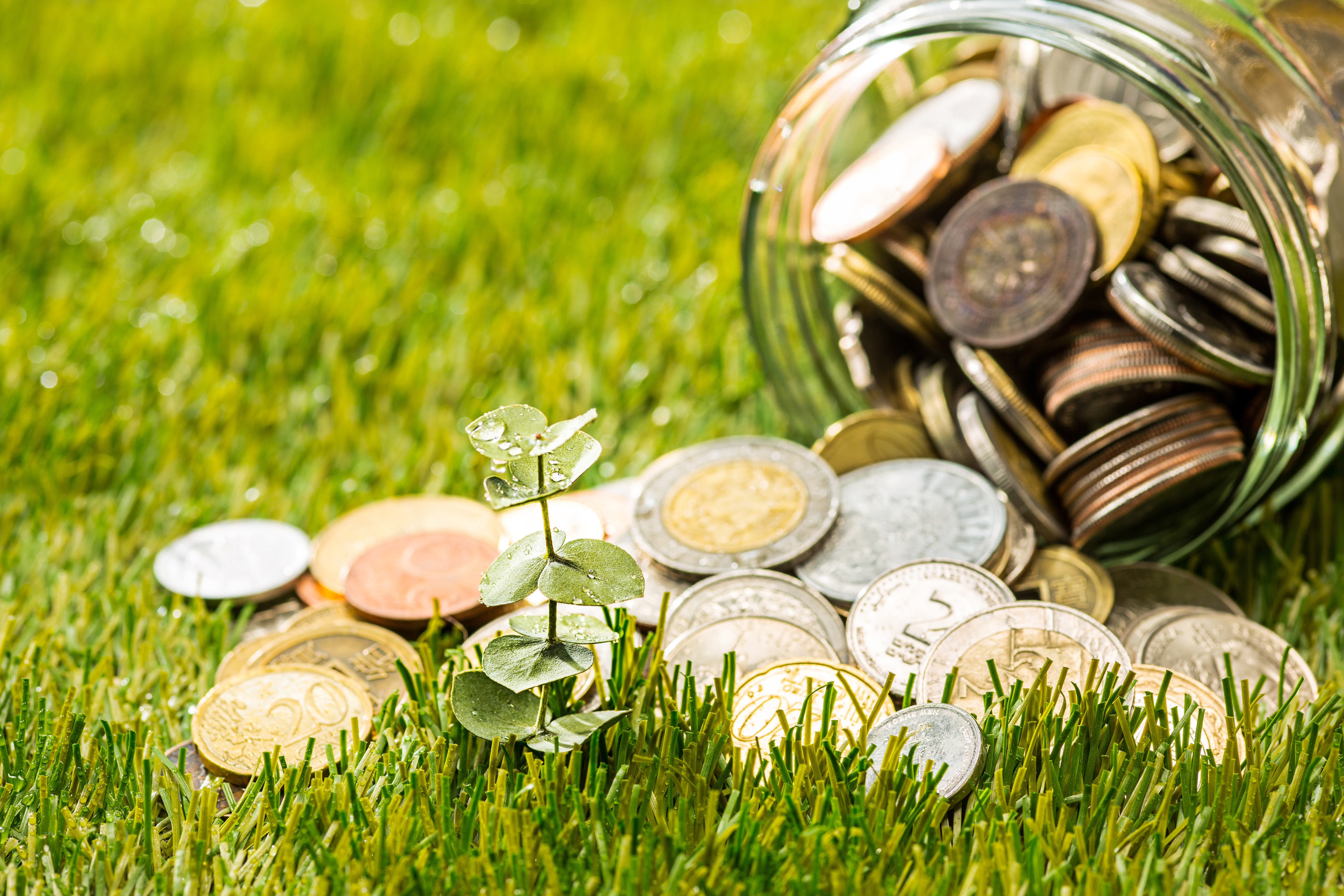 The Rise of Green Finance: How Countries are Investing in Sustainability